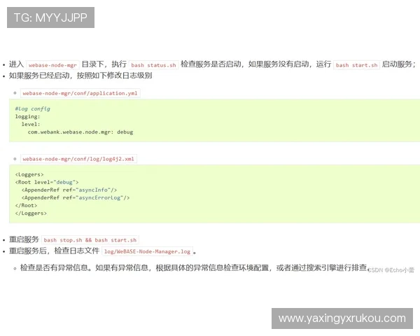 亚星官方在线登录入口常见错误分析及解决方案，确保顺利登录平台
