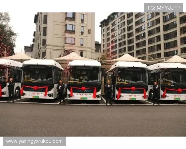 亚星官方网站登录入口网址2024年最新登录入口及常见问题解答