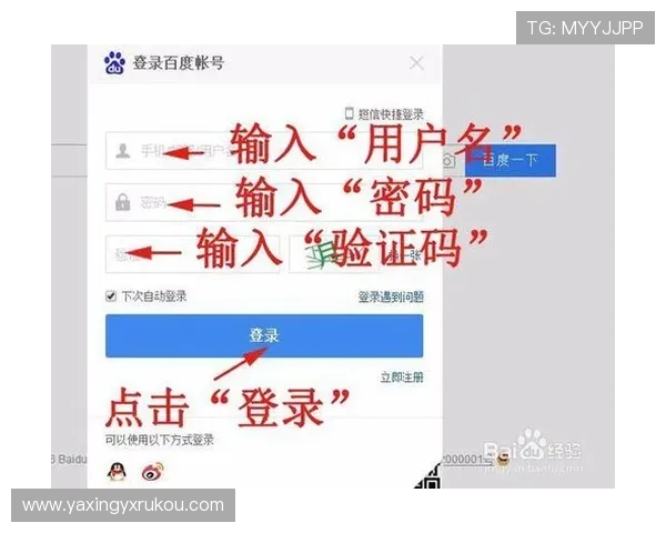 亚星网址登录遇到问题怎么办,常见问题解决方案全攻略 亚星网址登录遇到问题怎么办,常见问题解决方案全攻略