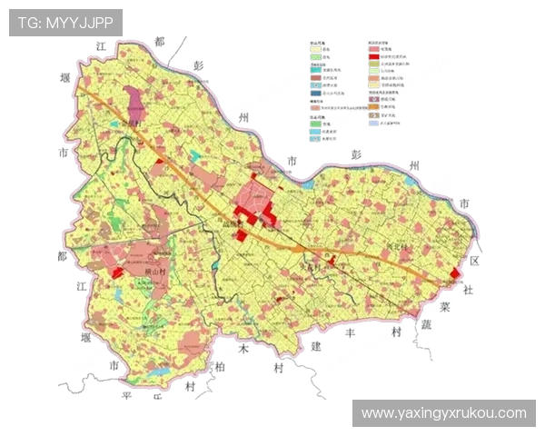 亚新体育官方新闻揭示公司战略布局与未来发展规划详解