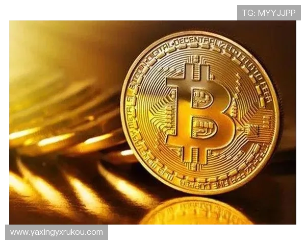 亚星手机版登录入口网址查询详细步骤及常见问题解决方案推荐