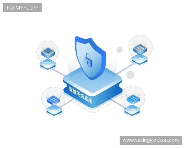 亚星登录入口官网登录安全性分析与账号保护建议